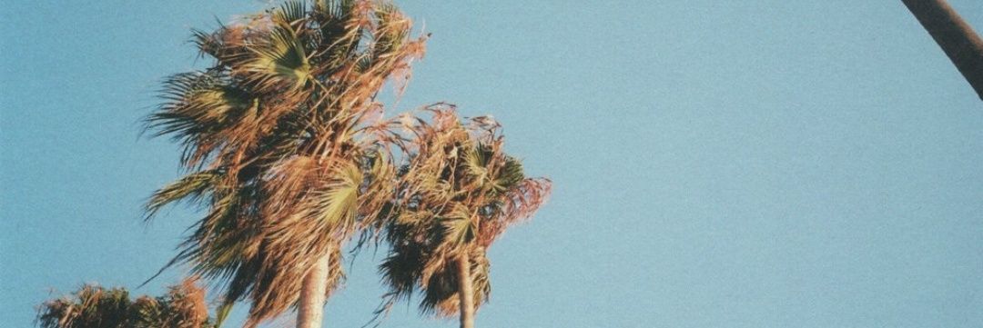 EhSeeya_'s profile banner image