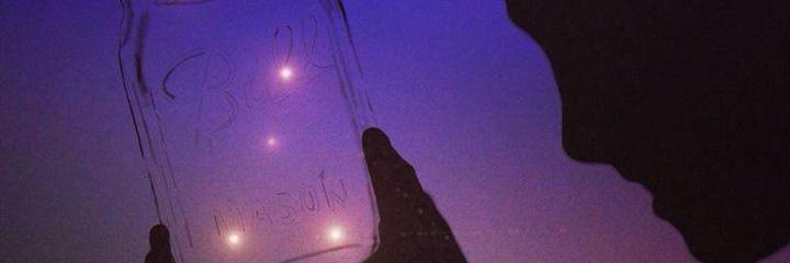 SVLKOSE's profile banner image