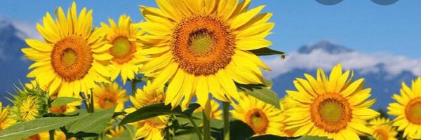 prior2c Profile Banner