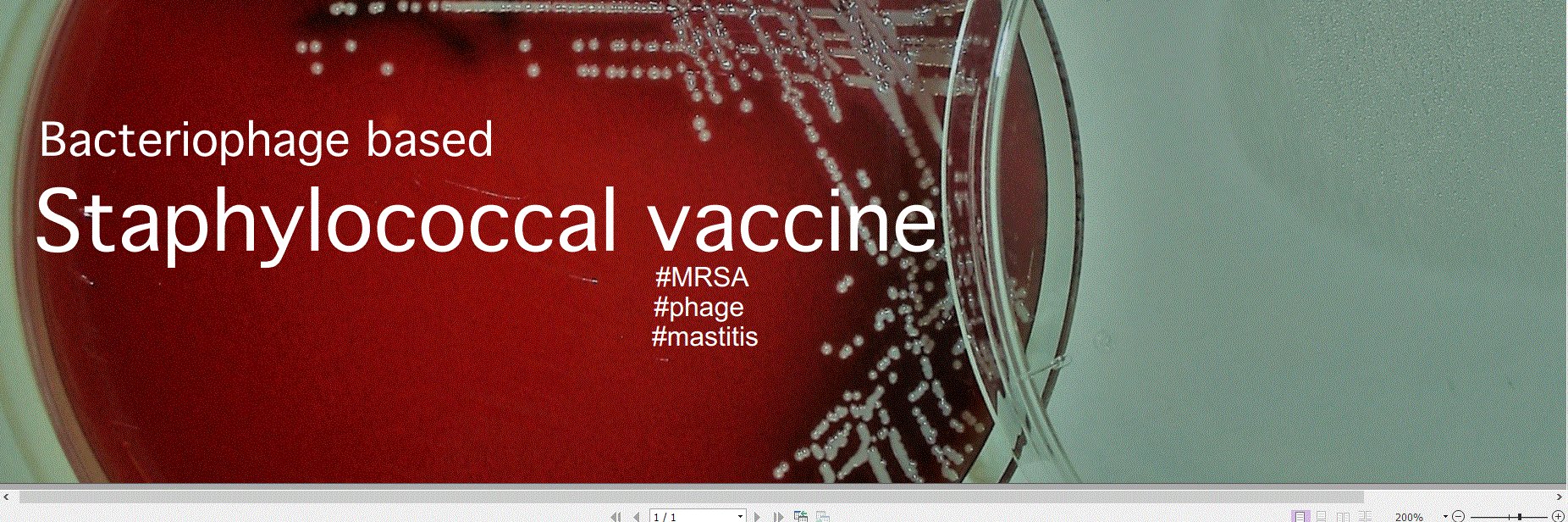ImmLaboratories's profile banner image