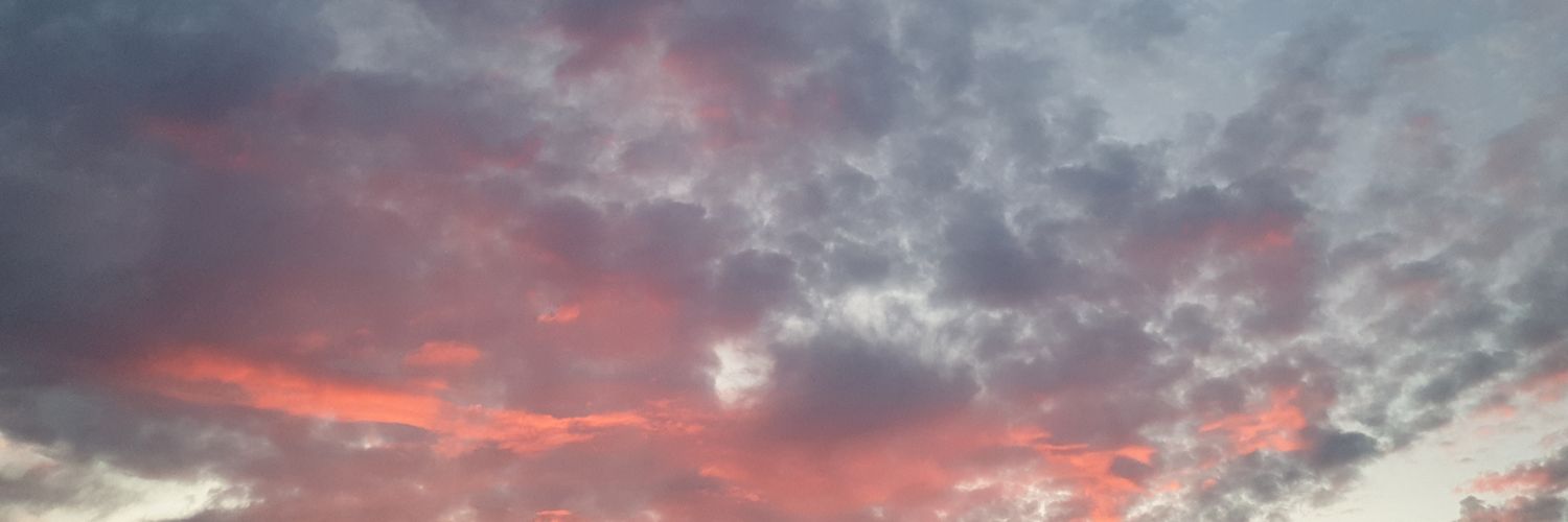 TE banner
