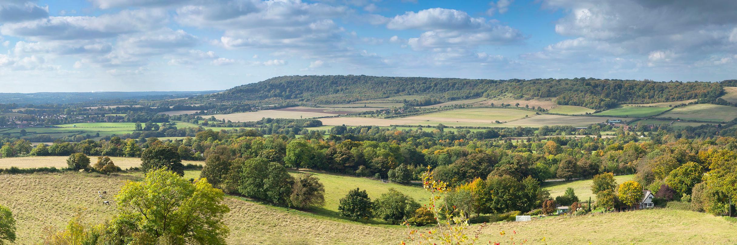 Darent Valley Landscape Partnership Scheme banner
