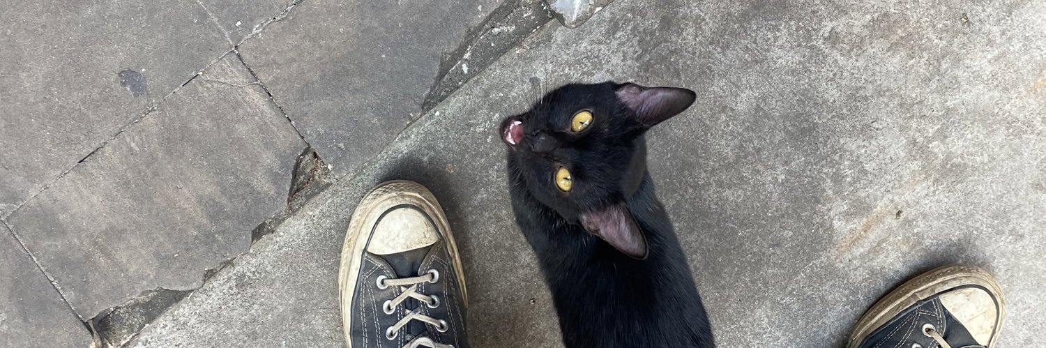 noodlelank's profile banner image
