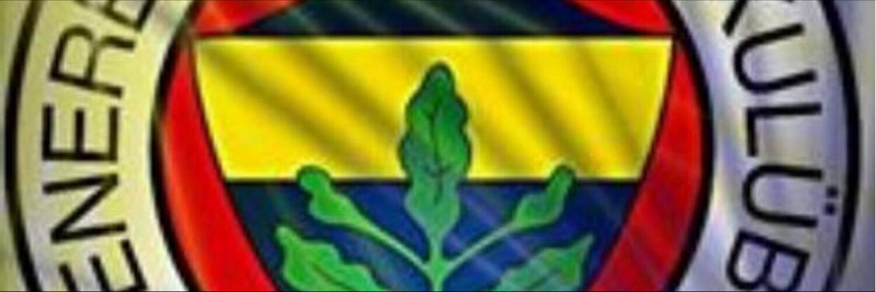 ecimenoglu1's profile banner image