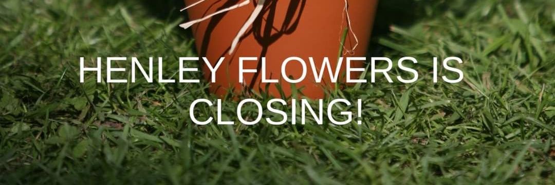 HenleyFlowers's profile banner image