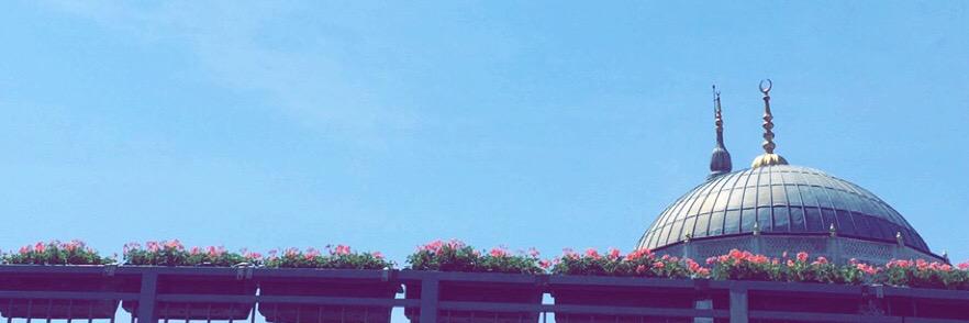 muneefa_moh's profile banner image
