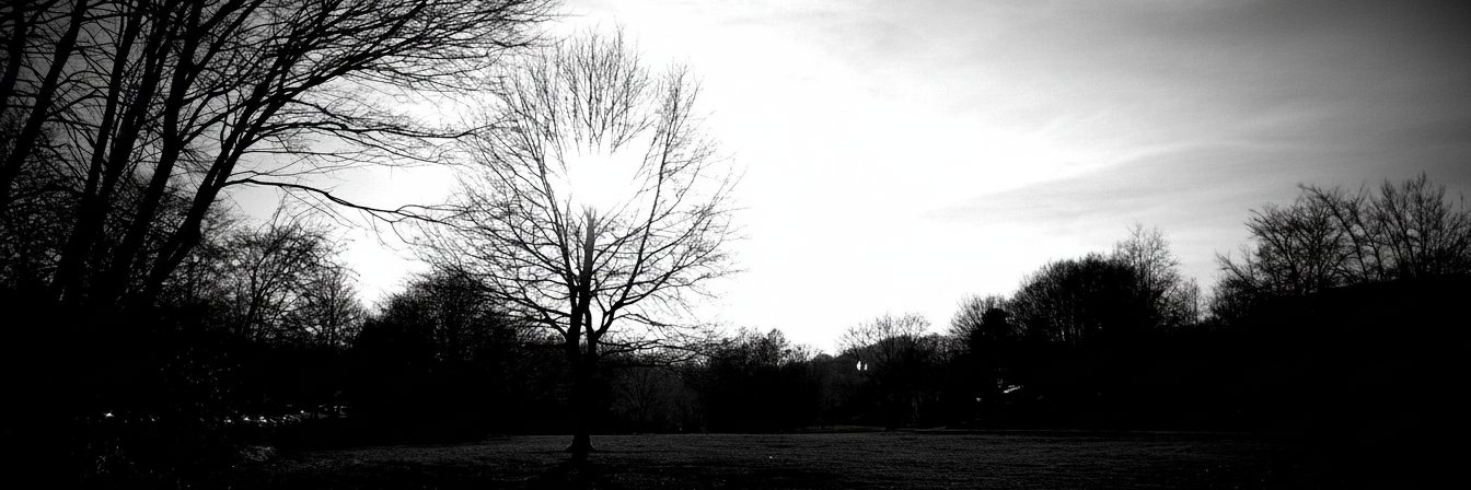 JO banner