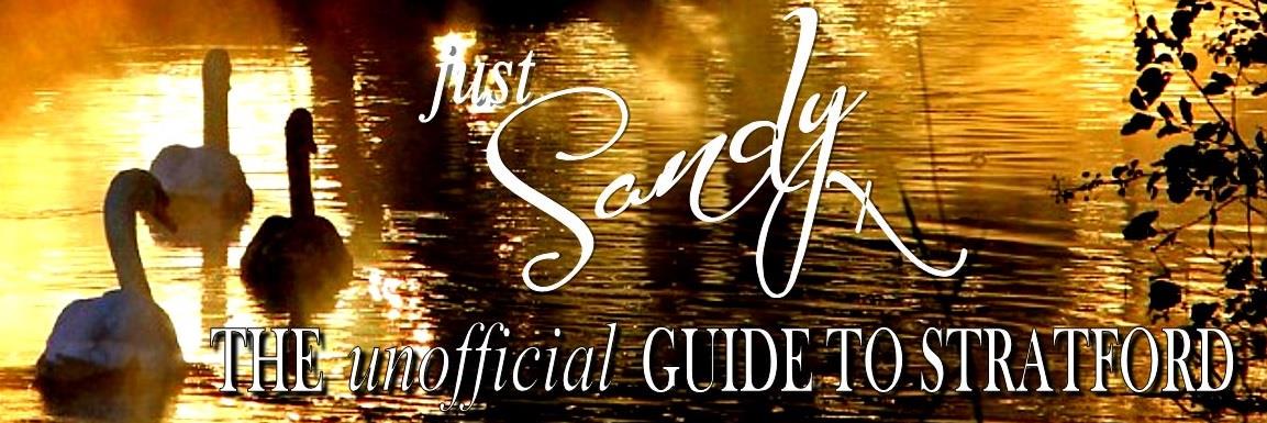 JustSandyTweets's profile banner image