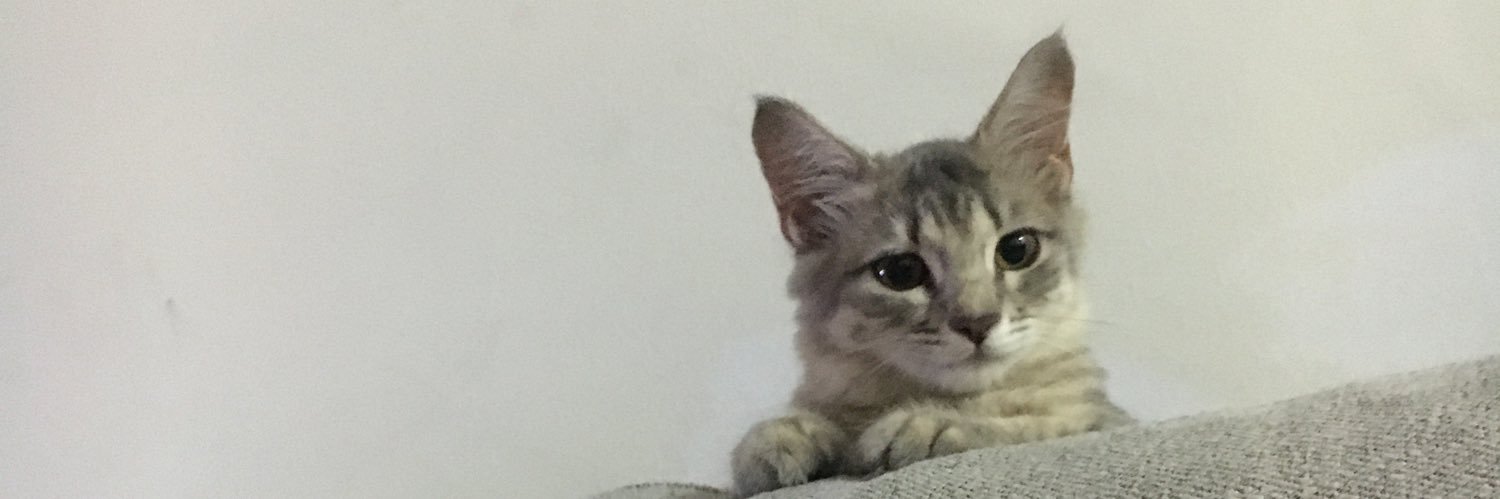 Norishous's profile banner image