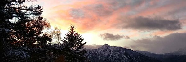 pheniks Profile Banner