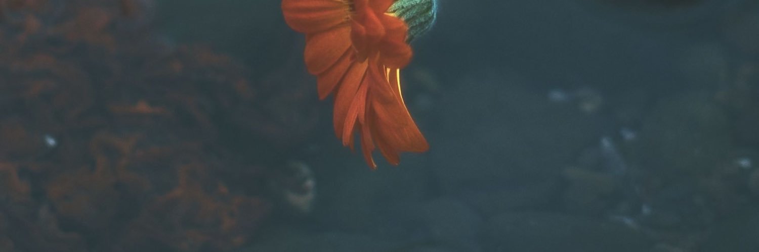 saaaatyuna's profile banner image