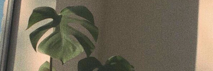 dyahtit's profile banner image
