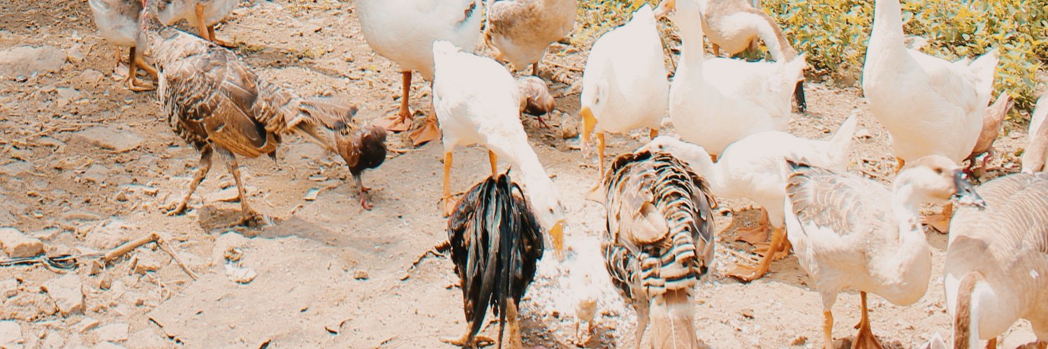 deaannaraa's profile banner image