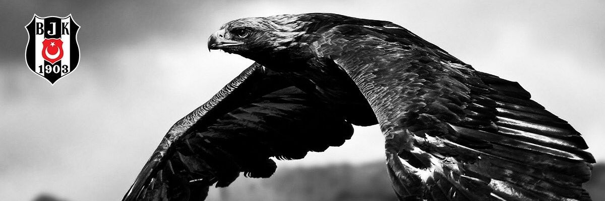 osmanselam's profile banner image