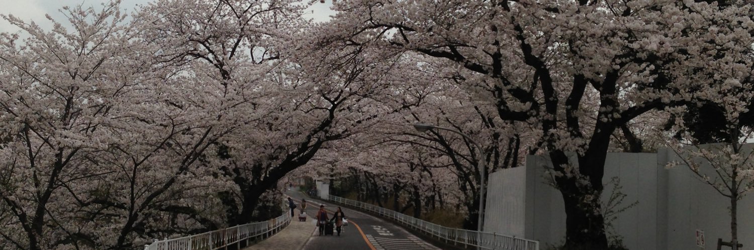 a050022's profile banner image