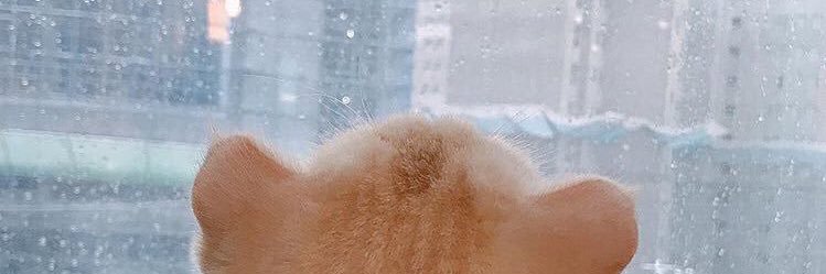 ChutigarnP's profile banner image