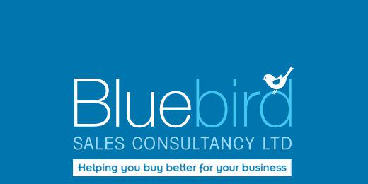 BluebirdSalesco's profile banner image