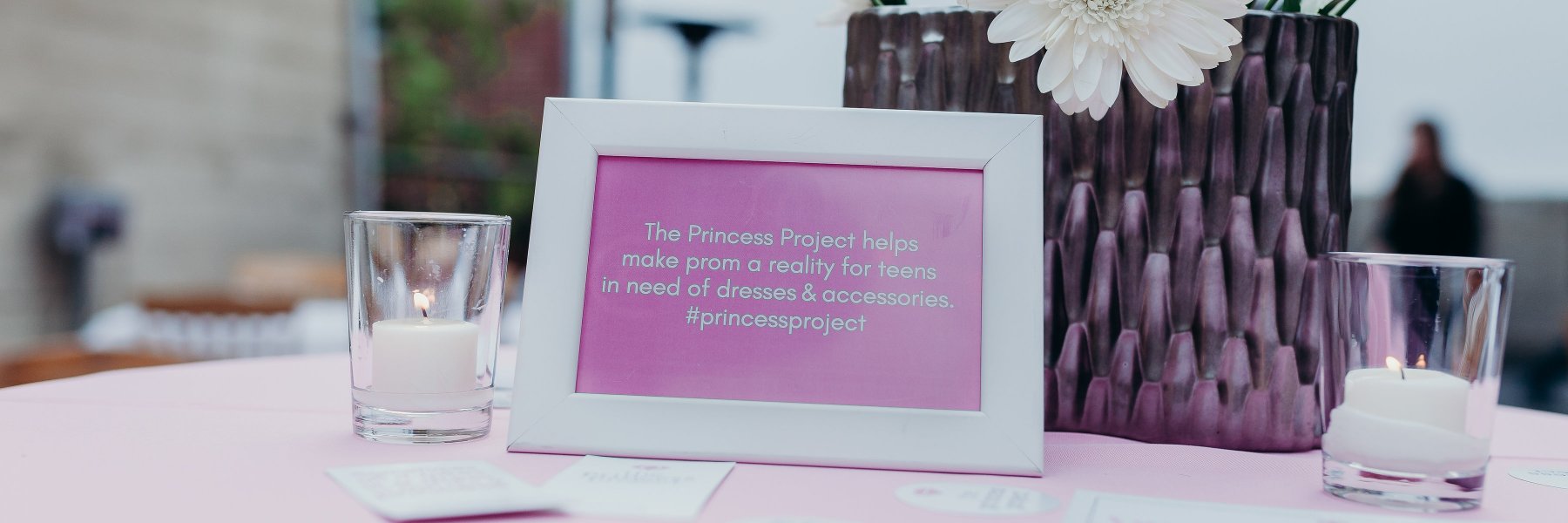 The Princess Project banner