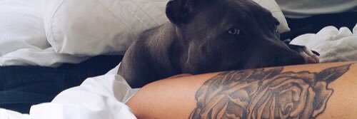 kaaliyah29's profile banner image