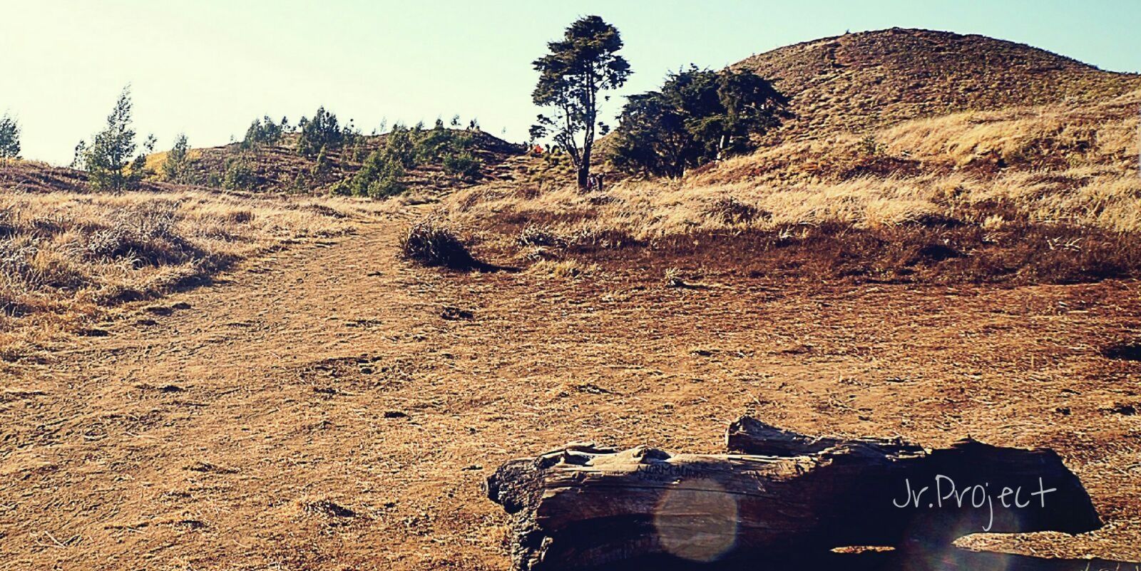 PanpinAdventure's profile banner image