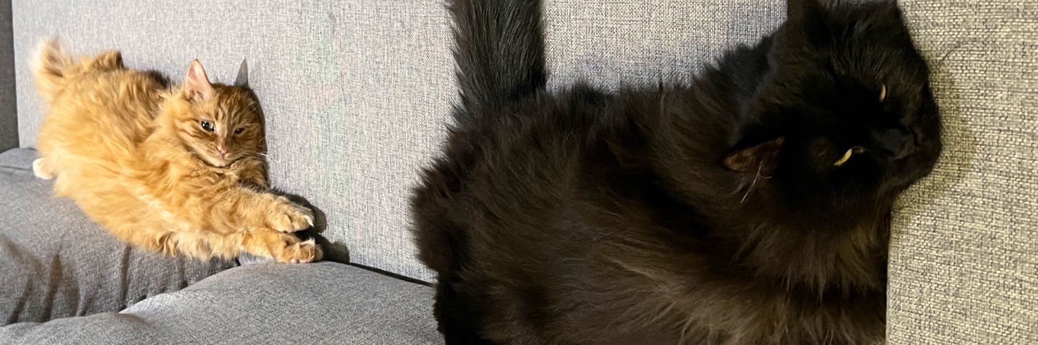 KarlDeux's profile banner image