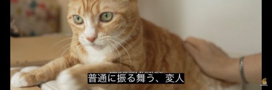34Maniwa's profile banner image