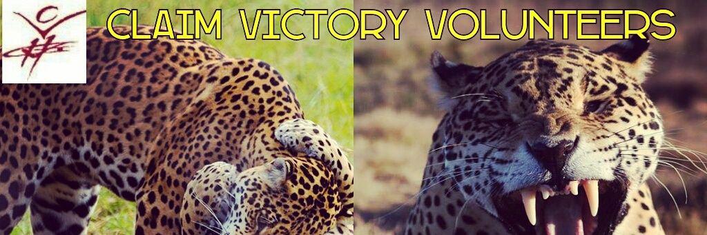 Claim Victory Vol. banner