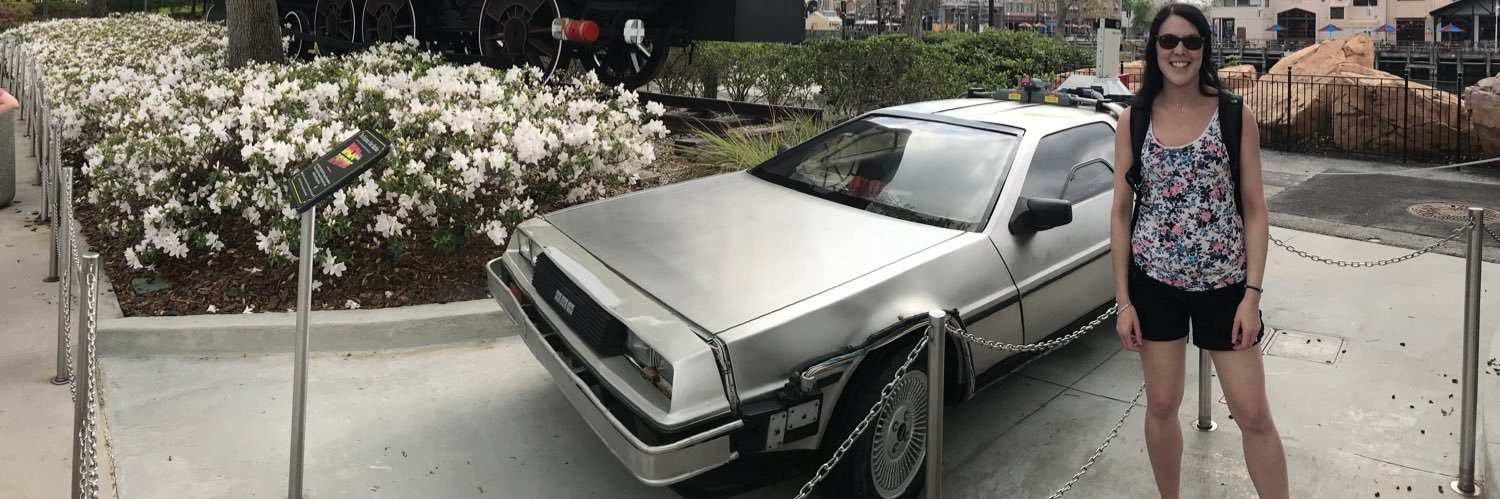 Elaine Ashton banner