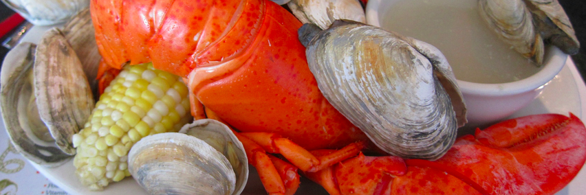 DiningMaine's profile banner image