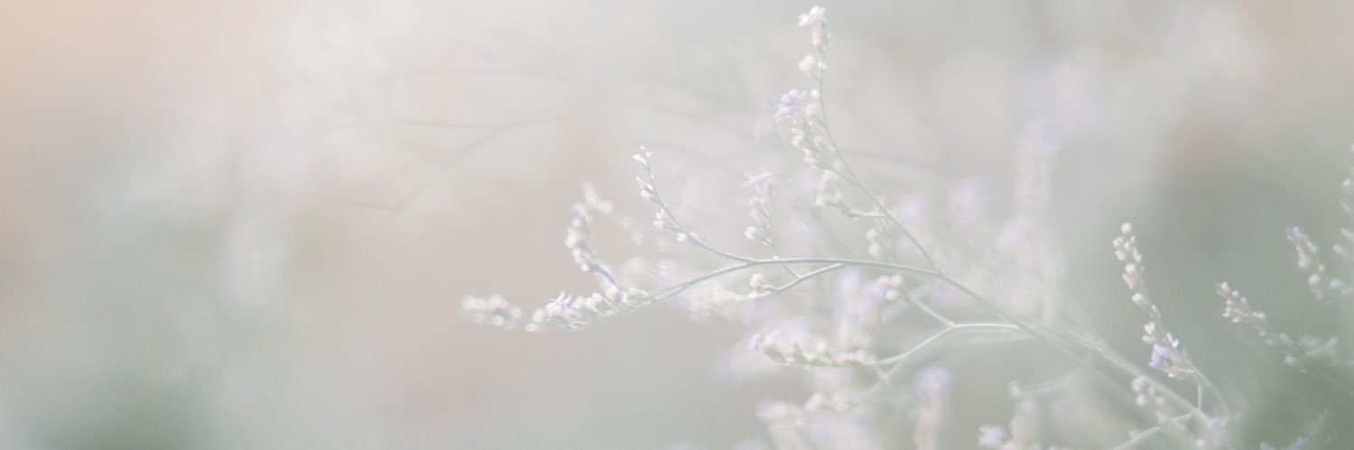 oia0504's profile banner image