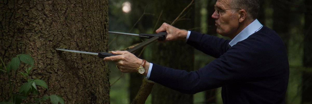 HiramTimber's profile banner image