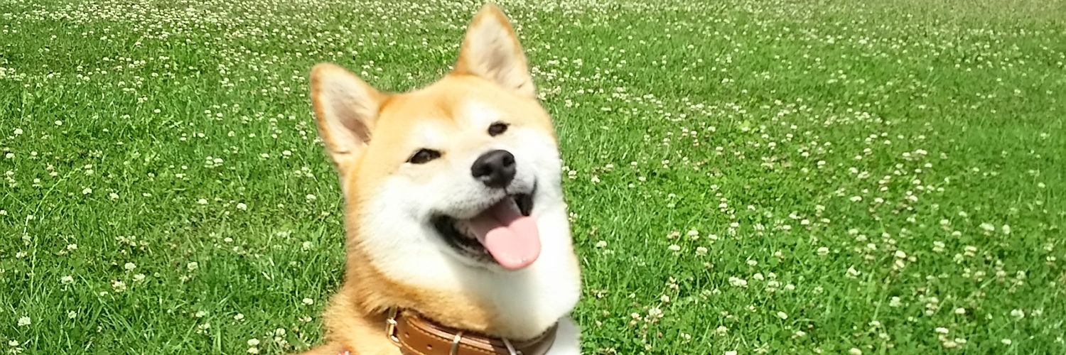 ctikusanba's profile banner image