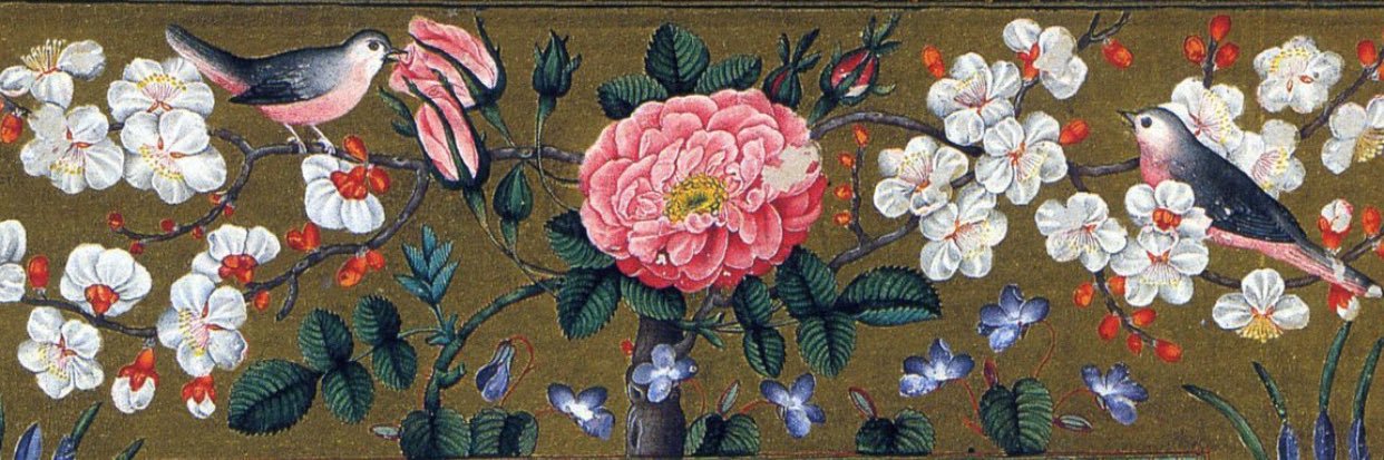tarlakusuu's profile banner image