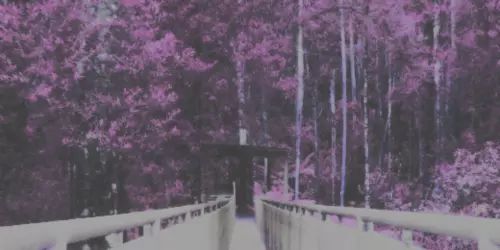 sposamiharry's profile banner image