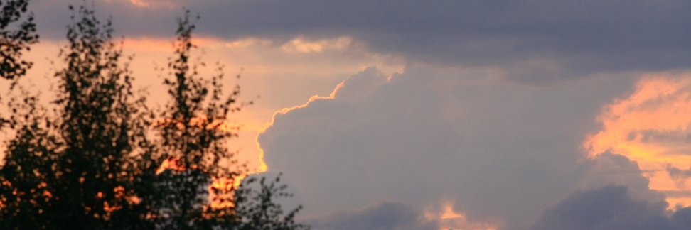 Sciandics's profile banner image