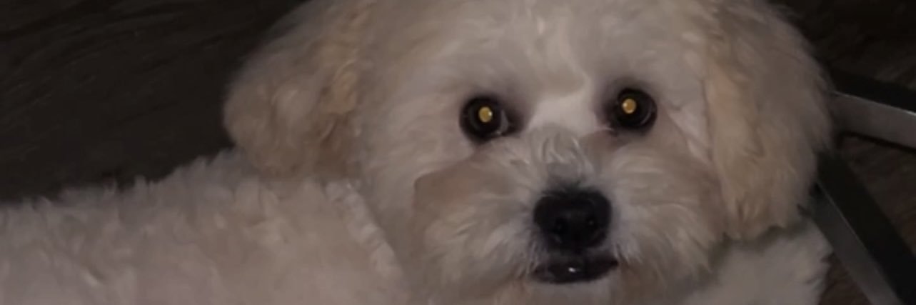 Its_STARSTAR's profile banner image