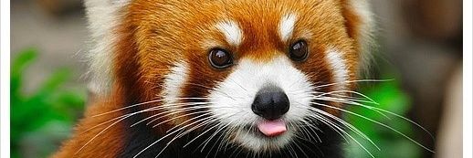4kimhjgmailcom1's profile banner image