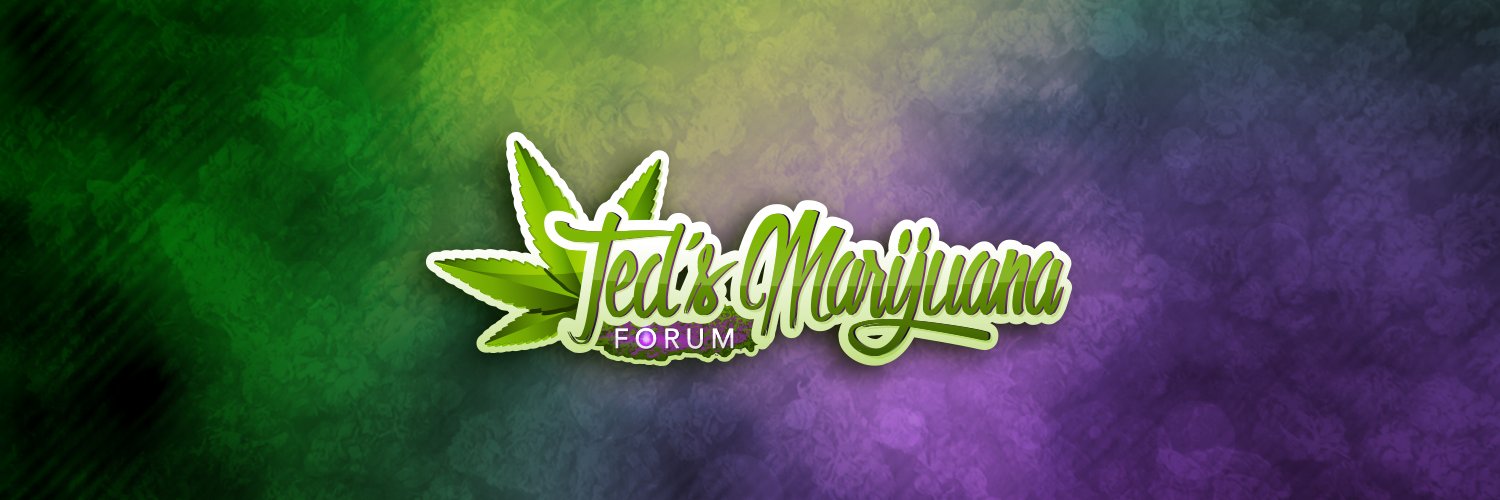 tedsmarijuana's profile banner image