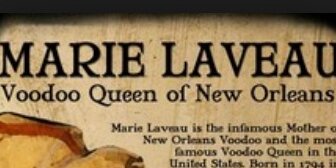 MeowLaveau's profile banner image