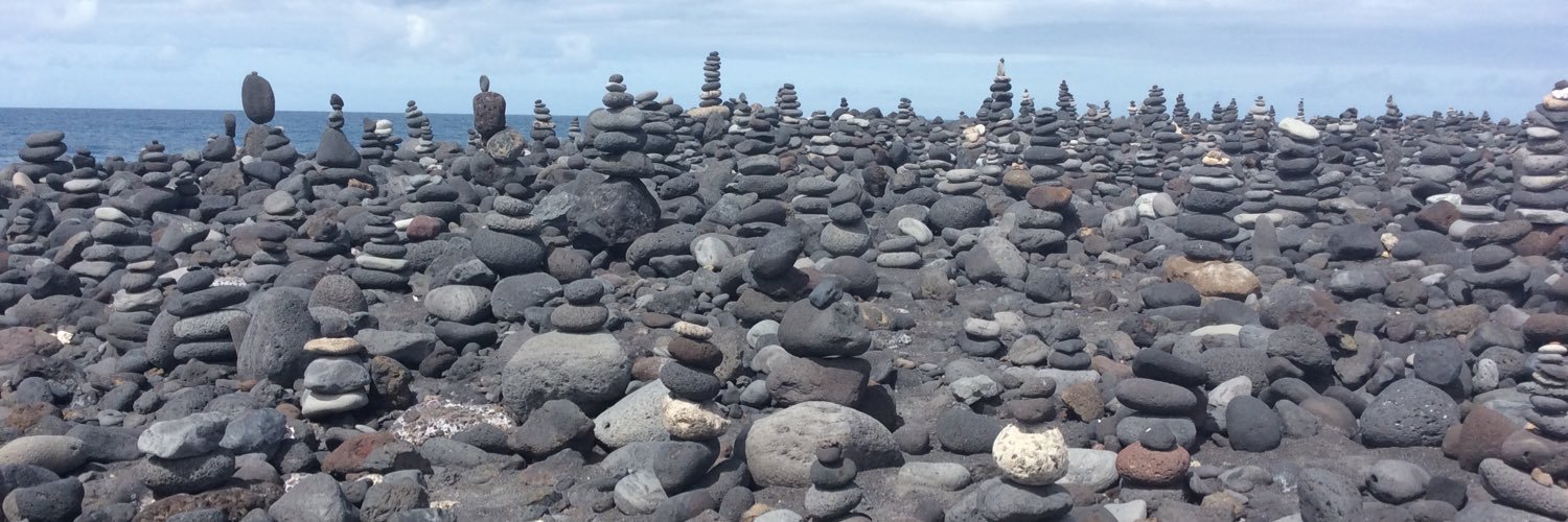 Paula Alvarado 🇨🇱 banner