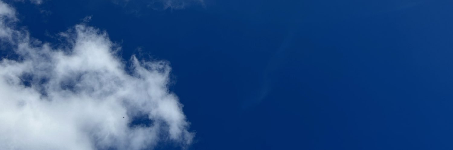 cactododeserto's profile banner image