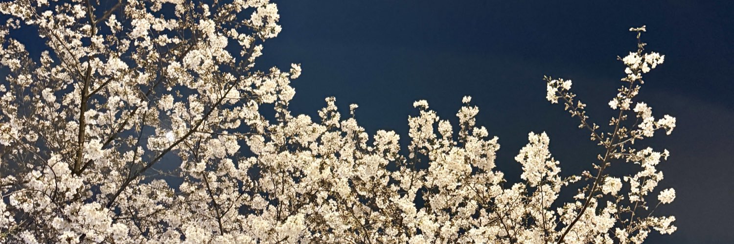 blovesnow's profile banner image