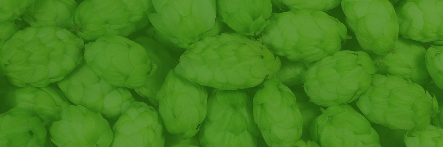 endlessbrews's profile banner image