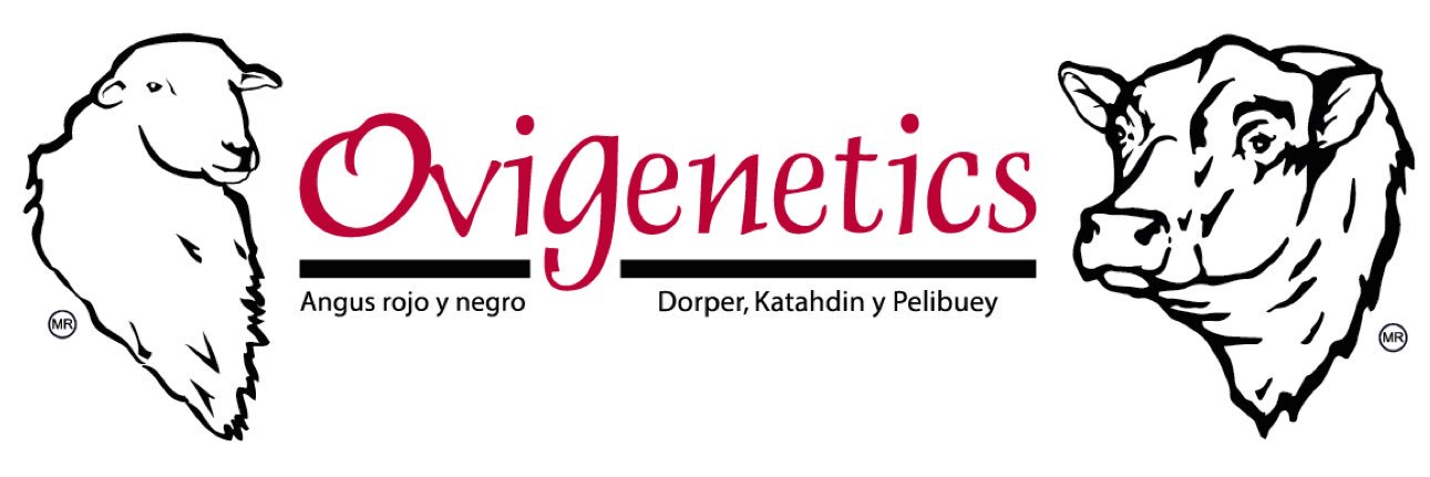 alexovigenetics's profile banner image
