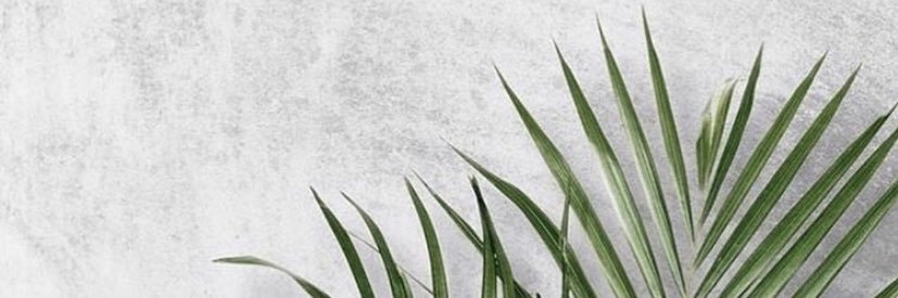iamdanackc's profile banner image
