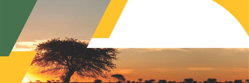 Mpumalanga Treasury🇿🇦 banner