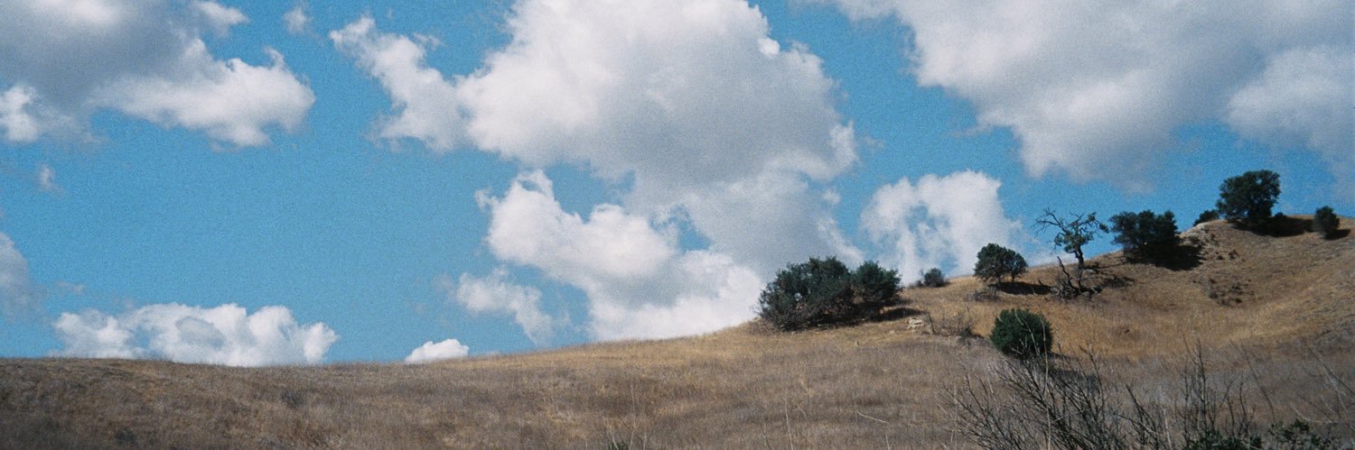 grewevy's profile banner image