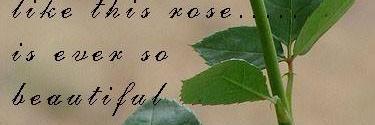 Ronyaways's profile banner image