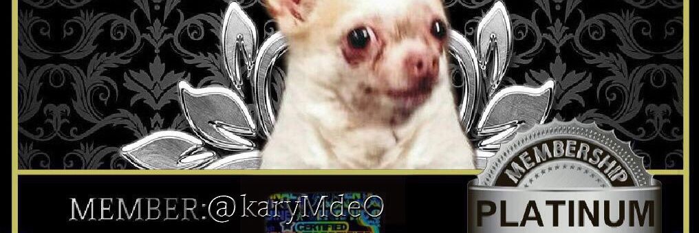 karyMdeO's profile banner image