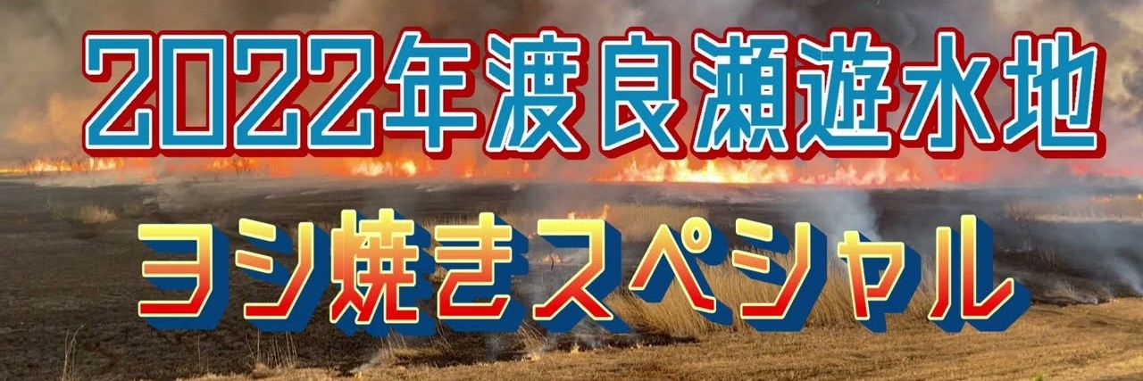 ソボロ助広 banner